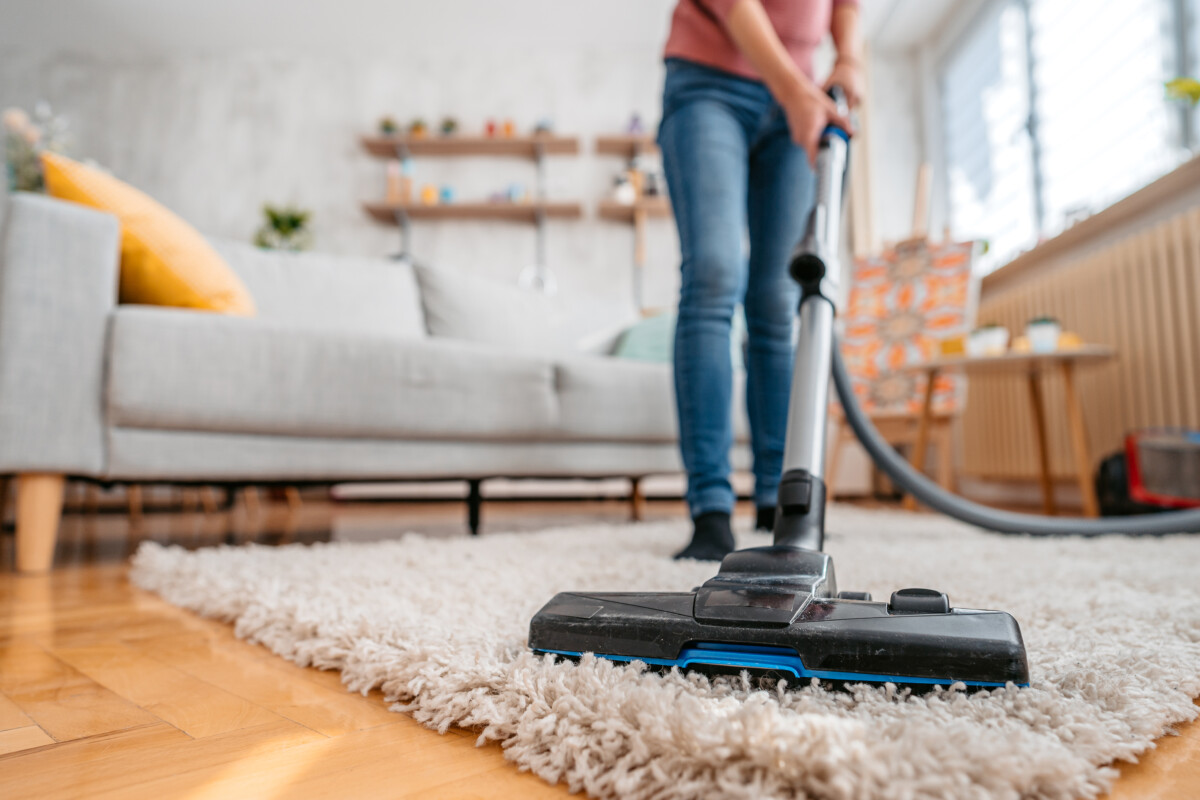 a pet owner cleaning common places where fleas like to nest and hide