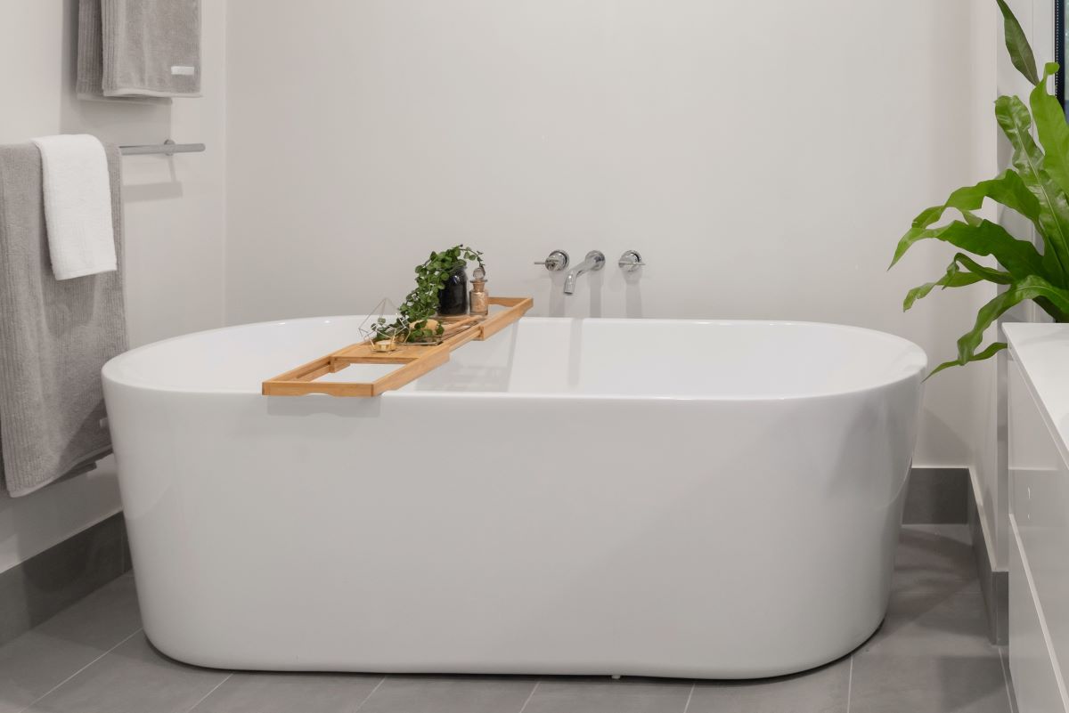 bath tub and plants